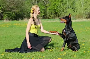 女人梦见狗咬脚好不好，梦境中的寓意与现实中的解读，女人梦见狗咬脚好不好