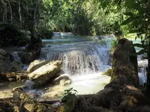 梦见水流了一地，内心的洗涤与转变，梦见水流了一地