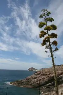 探索星际之梦，梦见开飞船，梦见开飞船