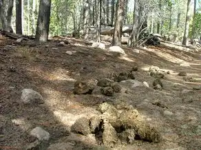 梦见自己拉大便在地上，揭开梦境背后的神秘面纱，梦见自己拉大便在地上