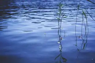 湖之五行，自然之韵与宇宙之道，湖 五行