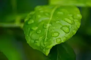 梦见晴天下雨，梦见晴天下雨