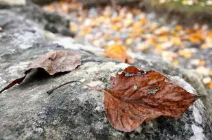 石头五行属性解析，探寻石头与五行的奥秘，石头五行属什么