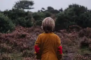 双子座男的独特脾气，探究其性格中的怪与大，双子座男脾气很怪脾气也大