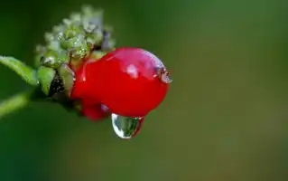 神秘的梦境，火雨的降临，梦见火雨