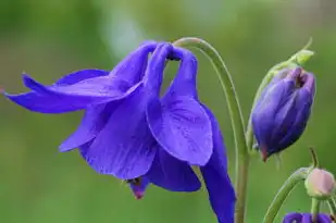 水瓶座男生性格特点卡牌揭秘，探索神秘水象的个性奥秘，水瓶座男生性格特点卡牌