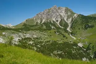 梦回山野，手采野生蘑菇的奇幻之旅，梦见采野生蘑菇