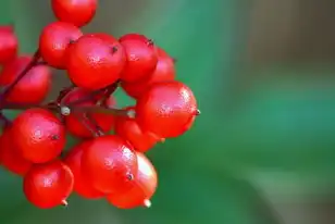 水果五行属探秘，大自然的和谐之道，水果五行属