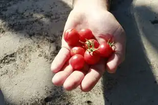 梦见自己满脸皱纹，一种深层的自我探索与生命智慧的启示，梦见自己满脸皱纹