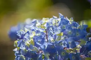 水瓶座杀气太重，揭秘神秘水瓶座的另类魅力，水瓶座杀气太重