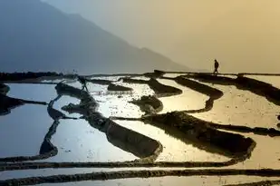 五行少土，探寻平衡之道，五行少土