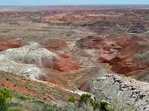 泥巴路上的梦境之旅，一场心灵的奇妙旅程，梦见在泥巴路上走