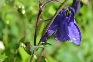 4月出生的双子座，多才多艺的社交达人，4月出生的双子座