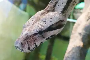 天蝎座男生的性格特点分析，天蝎座男生的性格特点分析