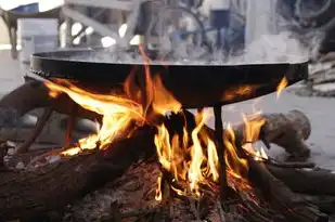 牛五行火，传统五行学说中的象征与奥秘，牛五行火