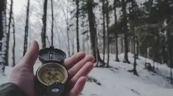 射手座男生性格特点及最匹配的星座解析，射手座男生性格特点和什么星座最配