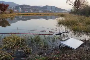 梦见钓到鲤鱼的奇妙遐想，梦见钓到鲤鱼