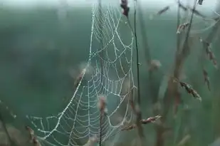 凌五行，破茧成蝶的奇幻之旅，凌五行