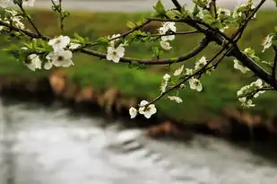 探寻季节五行之奥秘，季节五行