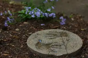 五行生土，探寻古老哲学的奥秘，五行生土