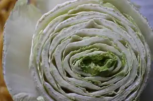 白菜的五行内涵，揭秘白菜与五行相生的奇妙关系，白菜的五行