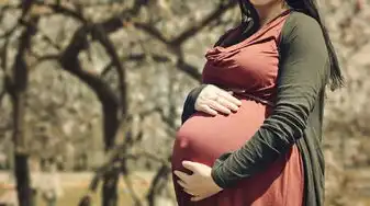 梦境中的新生命，孕妇梦见要生孩子的深层次解析，孕妇梦见要生孩子