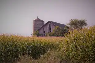 梦见门口草，生活的启示与心灵的映射，梦见门口草