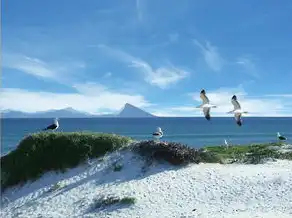 太阳天秤月亮处女上升金牛座，平衡与稳定的象征，太阳天秤月亮处女上升金牛