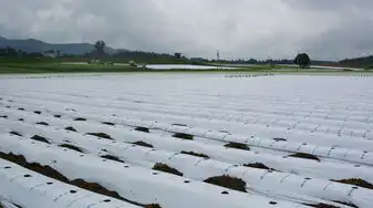 梦回深处，雨落如瀑，梦见下大雨水很深