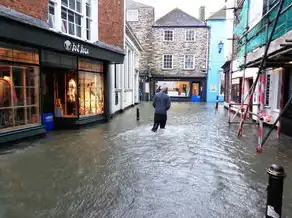 梦中洪水挡住去路，潜意识中的恐惧与成长，梦见洪水挡住去路