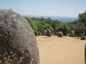 泥泞中的奔跑，梦境与现实的交织，梦见在泥泞的路上奔跑