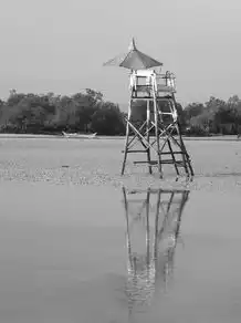 周公解梦——避雨的寓意与启示，周公解梦-避雨