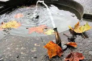 梦见大水，揭秘梦境中的神秘象征，梦见大水吗