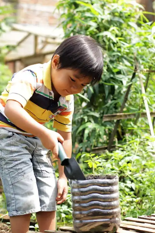 孕妇梦境揭秘，梦见摘番茄竟是男孩，预示着幸福与吉祥！，孕妇梦见摘番茄是男孩