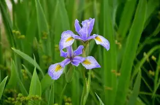 揭秘天蝎座的性格特点，神秘、深情、勇敢，天蝎座的性格特点