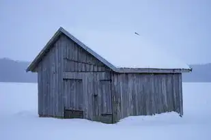 水瓶座性格深度分析，水瓶座性格分析