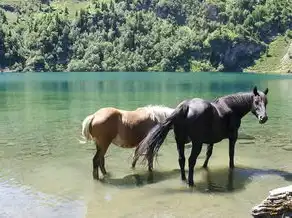 五行金蛇水马，探寻古老文化中的神秘符号，五行金蛇水马