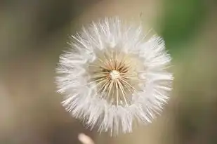 10月射手座的感情运势，浪漫邂逅，情感升温，10月射手座的感情运势