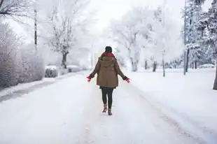 梦见雪天，一场诗意与情感的遨游，梦见雪天