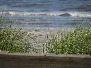 梦见下石头雨，探寻梦境中的奥秘与寓意，梦见下石头雨