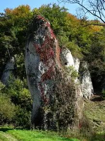 岩五行属性解析，岩五行属性是什么