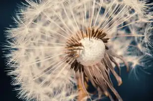 五行属虎土，探寻生肖虎与土元素的奥秘，五行属虎土