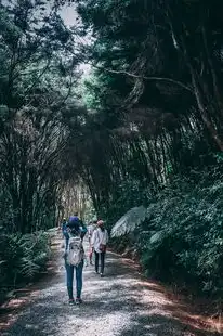 梦见到陌生的地方，探索未知的奇遇，梦见到陌生的地方