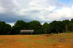 梦境奇缘，坟里涌动的神秘之水，梦见坟里有水