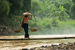 女人梦见割韭菜，寓意与解析，女人梦见割韭菜