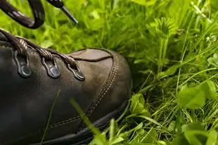 周公解梦，雨衣的寓意与象征，周公解梦 雨衣