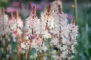 天蝎座女生的十大魅力特点，揭秘神秘天蝎的独特风情，天蝎座女生的10个特点