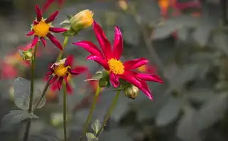 水瓶座男生的独特魅力与特点，水瓶座男生特点