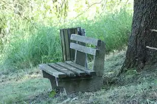 梦中萝卜地，解密潜意识中的美好愿景，梦见萝卜地