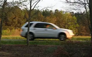 梦驾马车，一场穿越时空的奇幻之旅，梦见驾马车